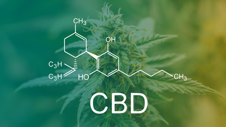 A Beginner’s Guide to CBD Tinctures, Capsules, and Topicals