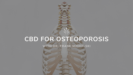 CBD for Osteoporosis - Showing Body Skeleton - How CBD can help with Osteoporosis